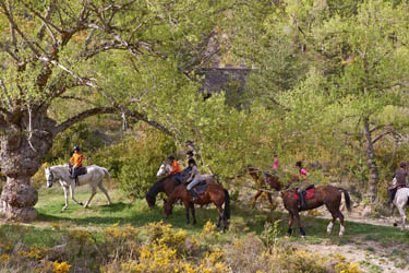 Voyage à cheval et stage linguistique - Randonnée équestre organisée par Randocheval