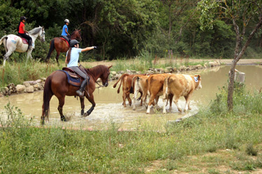 Voyage à cheval et stage linguistique - Randonnée équestre organisée par Randocheval