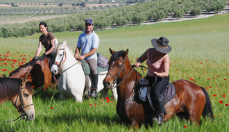 Cours de voltige et d'équitation pour les enfants pendant des vacances équestres en Norvège, au nord de la région des fjords - Rando Cheval / Absolu Voyage