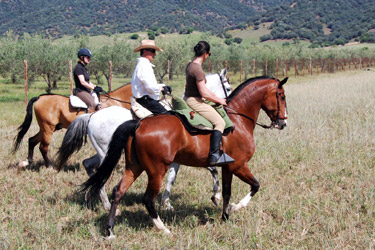 Rando Cheval - Voyage à cheval