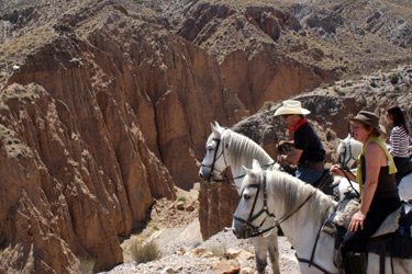 Rando Cheval - Voyage à cheval