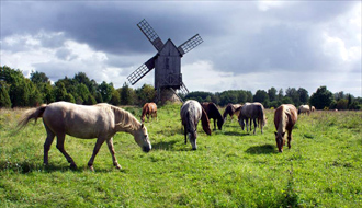 Randonnée à cheval - Un voyage Rando Cheval