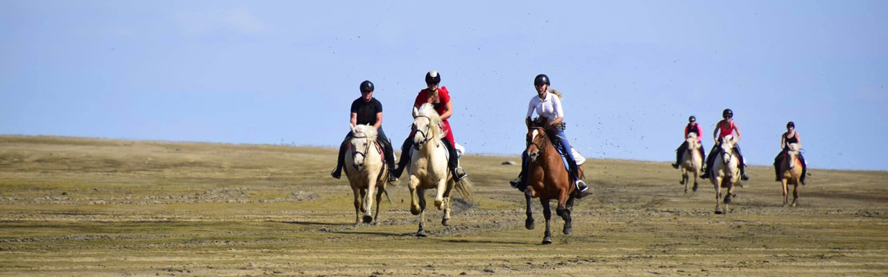 Voyage à cheval - Randonnée équestre organisée par Randocheval