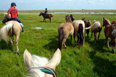 Rando Cheval - Voyage à cheval