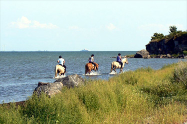 Rando Cheval - Voyage à cheval