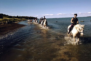 Rando Cheval - Voyage à cheval