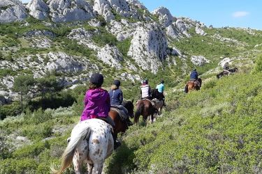Rando Cheval - Voyage &agrave; cheval