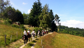 Randonnée et aventure à cheval en Alsace - Randocheval / Absolu Voyages