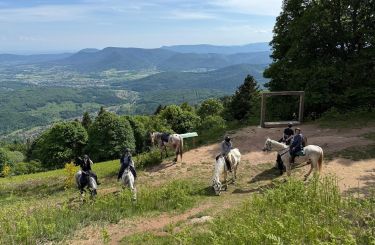 Rando Cheval - Voyage &agrave; cheval