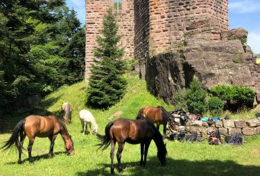 Rando Cheval - Voyage &agrave; cheval