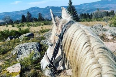 Rando Cheval - Voyage &agrave; cheval