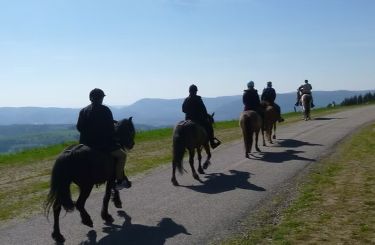 Rando Cheval - Voyage &agrave; cheval