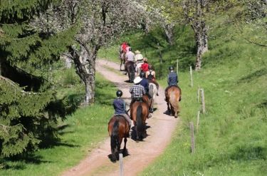 Rando Cheval - Voyage &agrave; cheval