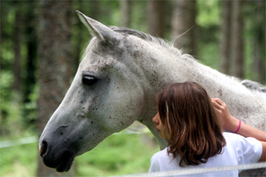 Rando Cheval - Voyage à cheval