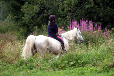 Rando Cheval - Voyage à cheval