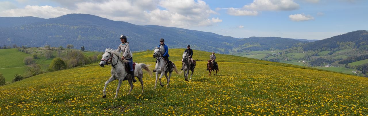 Voyage &agrave; cheval - Randonn&eacute;e &eacute;questre organis&eacute;e par Randocheval
