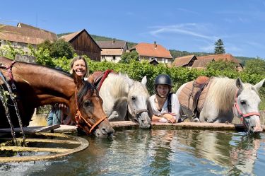 Rando Cheval - Voyage &agrave; cheval