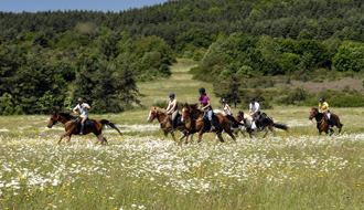 RANDOCHEVAL - Randonnée équestre en Ardèche