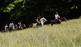 RANDOCHEVAL - Randonnée équestre en Ardèche