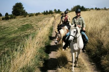 Rando Cheval - Voyage &agrave; cheval