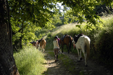 Rando Cheval - Voyage à cheval