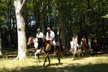 Rando Cheval - Voyage à cheval