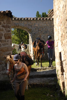 Rando Cheval - Voyage à cheval