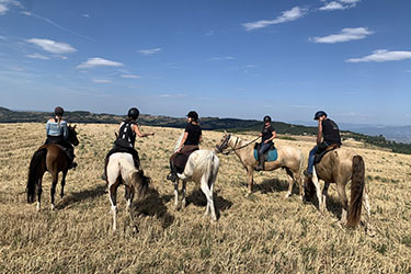 Rando Cheval - Voyage à cheval