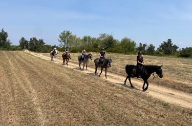 Rando Cheval - Voyage à cheval