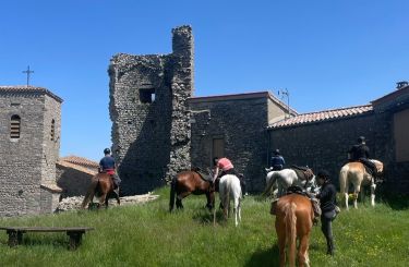Rando Cheval - Voyage à cheval
