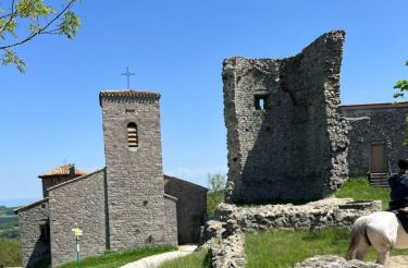 Rando Cheval - Voyage à cheval