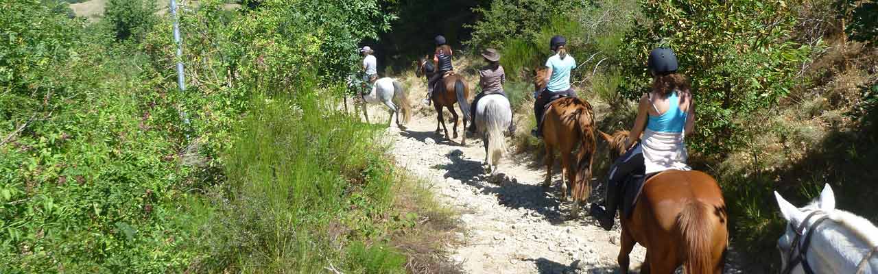 Voyage à cheval - Randonnée équestre organisée par Randocheval