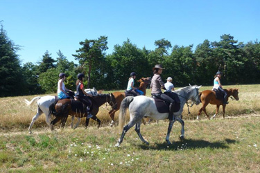 Rando Cheval - Voyage à cheval