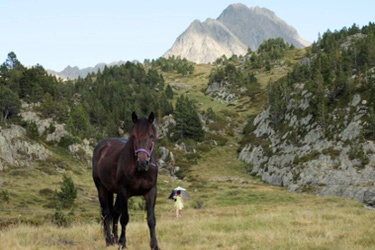 Voyage à cheval - Randonnée équestre en Ariége pour les jeunes avec Randocheval