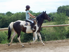 Voyage à cheval - Randonnée équestre en Ariége pour les jeunes avec Randocheval