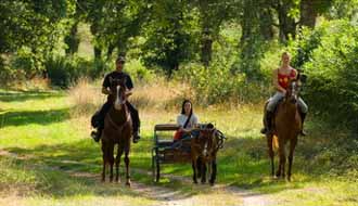 Randonnée équestre en Auvergne dans l'Allier - RANDOCHEVAL