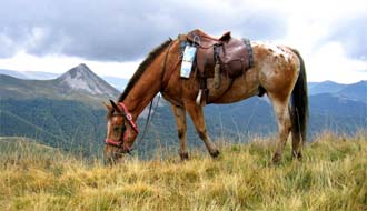 Randonnée équestre en Auvergne pour les adultes dans le Cantal - RANDOCHEVAL