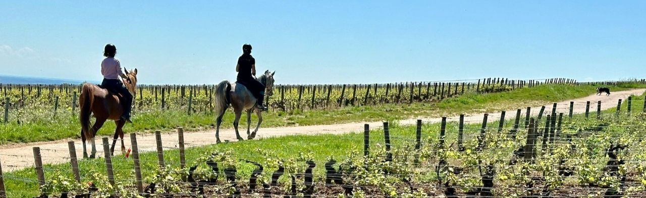 Voyage &agrave; cheval - Randonn&eacute;e &eacute;questre organis&eacute;e par Randocheval
