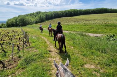 Rando Cheval - Voyage &agrave; cheval