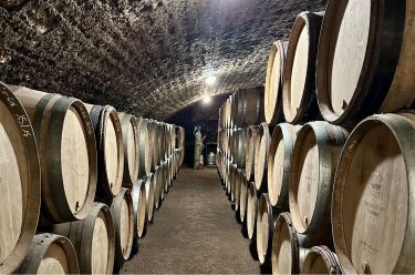 Rando Cheval - Voyage &agrave; cheval