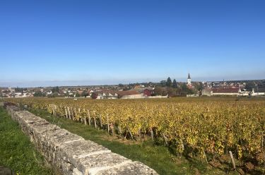 Rando Cheval - Voyage &agrave; cheval