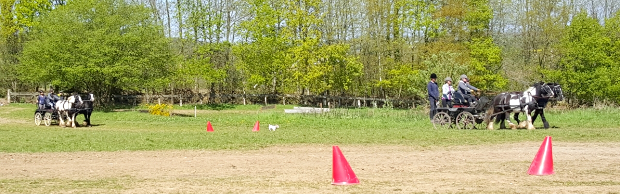 Voyage à cheval - Randonnée équestre organisée par Randocheval