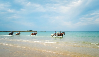 Randonnée équestre en Bretagne - RANDOCHEVAL