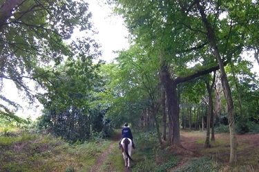 Rando Cheval - Voyage à cheval