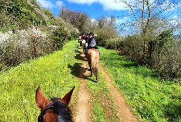 Rando Cheval - Voyage &agrave; cheval