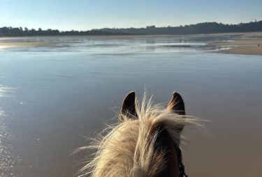 Rando Cheval - Voyage &agrave; cheval