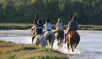 Randonnées ésquestres en Bretagne - RANDOCHEVAL