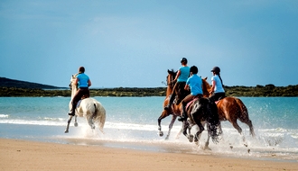 Randonnée équestre en Bretagne - RANDOCHEVAL