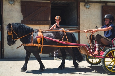 Rando Cheval - Voyage à cheval