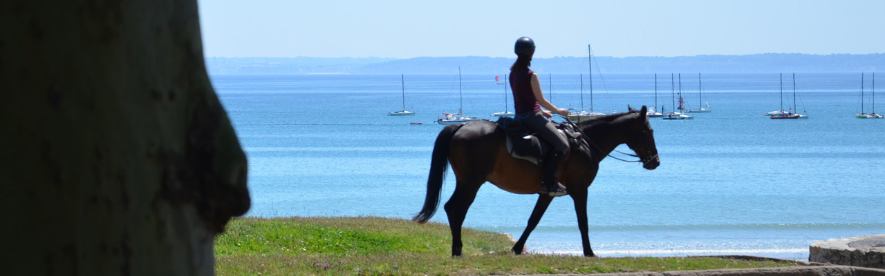 randonnée à cheval dans le finistère, randonnée à cheval en Bretagne, randonnée bord de mer, randonnée nature